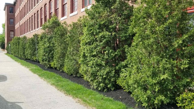 470 Silver St Apt 206, Manchester, NH 03103