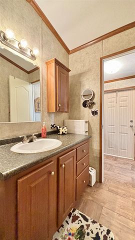 824 Holiday Village Drive, Quitman, TX 75783