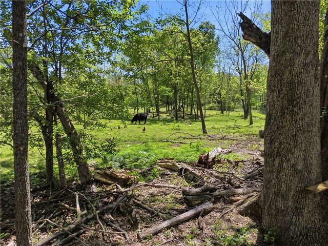 10645 Winningham Road, Gentry, AR 72734
