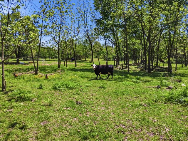10645 Winningham Road, Gentry, AR 72734