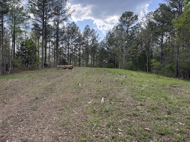 0 Ary Cemetery, Linden, TN 37096