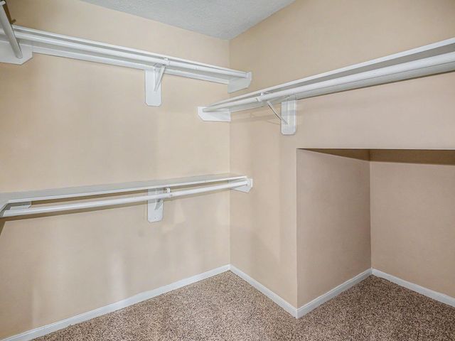 2026 Mossy Trail Drive, Katy, TX 77450