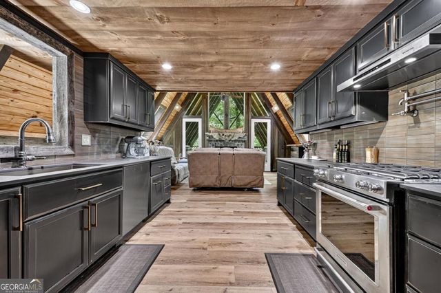 115 Pine Cone Road 4,5, Blue Ridge, GA 30513