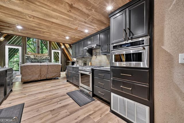 115 Pine Cone Road 4,5, Blue Ridge, GA 30513