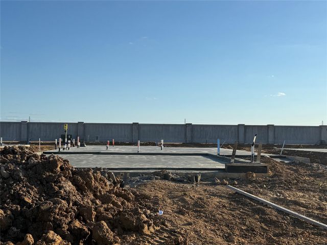 29135 Dandelion Sky Drive, Waller, TX 77484