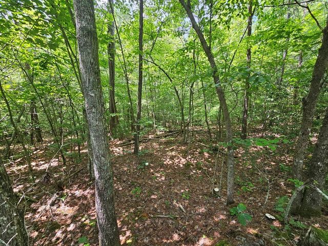 0 Harris Ridge Drive, Ellijay, GA 30540
