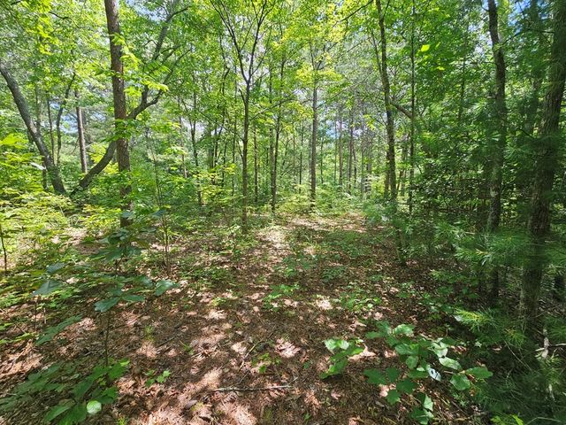 0 Harris Ridge Drive, Ellijay, GA 30540