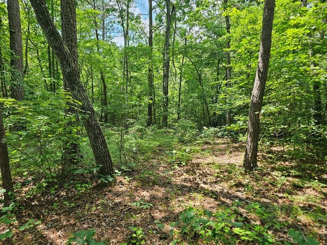 0 Harris Ridge Drive, Ellijay, GA 30540