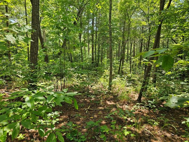 0 Harris Ridge Drive, Ellijay, GA 30540