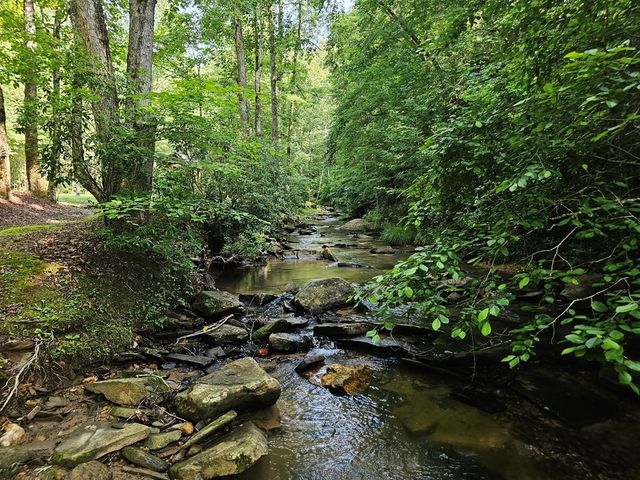 0 Harris Ridge Drive, Ellijay, GA 30540