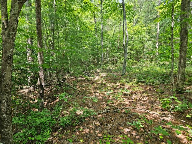 0 Harris Ridge Drive, Ellijay, GA 30540