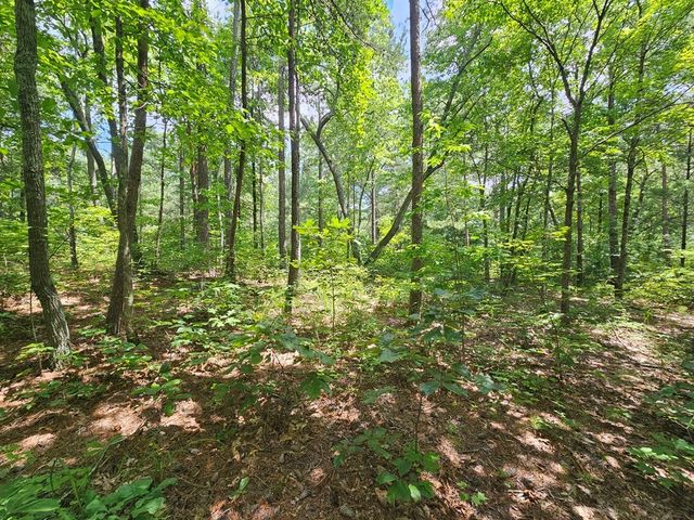 0 Harris Ridge Drive, Ellijay, GA 30540