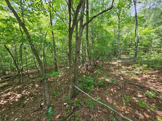 0 Harris Ridge Drive, Ellijay, GA 30540