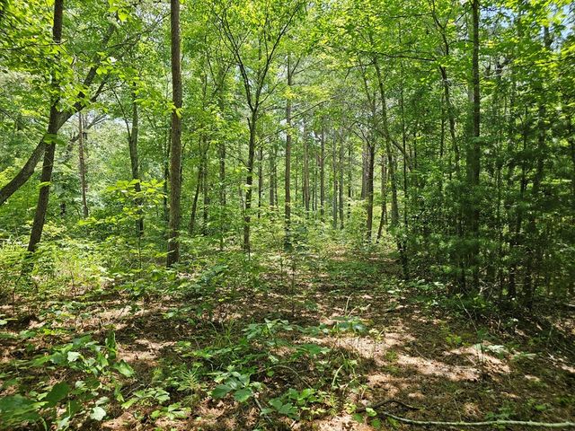 0 Harris Ridge Drive, Ellijay, GA 30540
