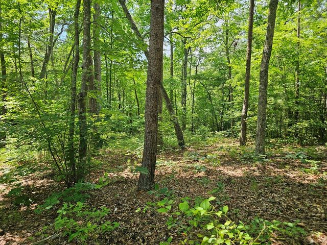 0 Harris Ridge Drive, Ellijay, GA 30540