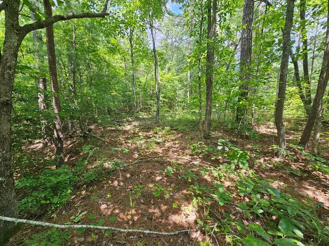0 Harris Ridge Drive, Ellijay, GA 30540