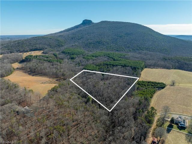 273 Olde Pilot Trail, Pilot Mountain, NC 27041
