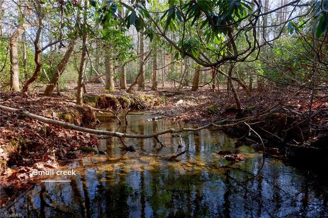 273 Olde Pilot Trail, Pilot Mountain, NC 27041