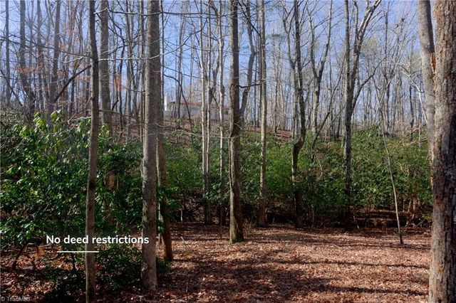 273 Olde Pilot Trail, Pilot Mountain, NC 27041