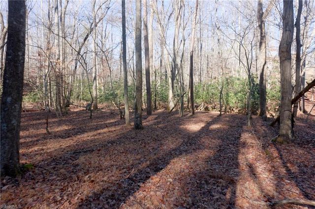 273 Olde Pilot Trail, Pilot Mountain, NC 27041