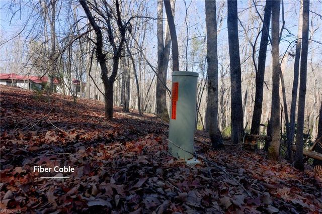 273 Olde Pilot Trail, Pilot Mountain, NC 27041