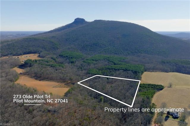 273 Olde Pilot Trail, Pilot Mountain, NC 27041