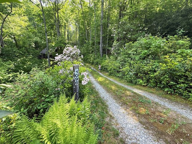 1096 Mount Tabor Road, Nantahala, NC 28781