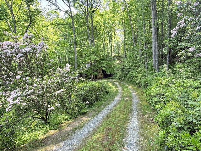 1096 Mount Tabor Road, Nantahala, NC 28781