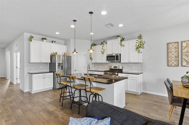 11113 SPRING POINT CIRCLE, Riverview, FL 33579