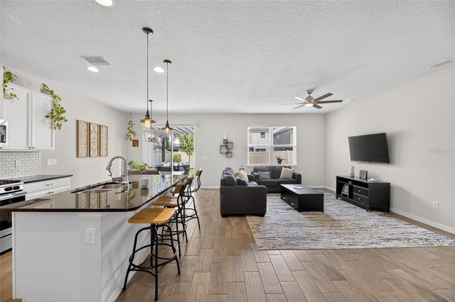 11113 SPRING POINT CIRCLE, Riverview, FL 33579