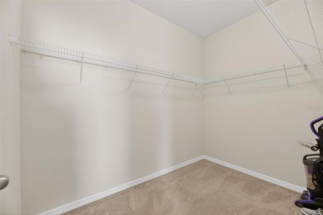 11113 SPRING POINT CIRCLE, Riverview, FL 33579