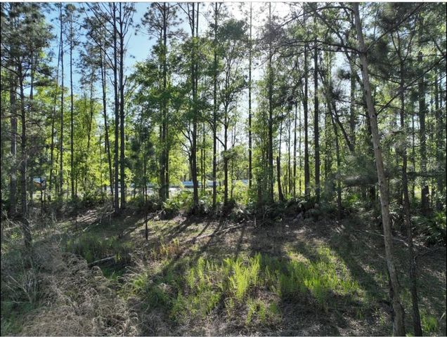 0 NE 77TH AVENUE, Bronson, FL 32621