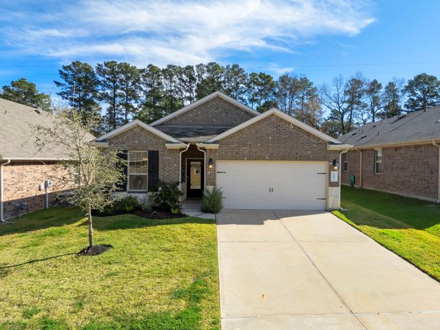 14096 Silver Falls Court, Conroe, TX 77384