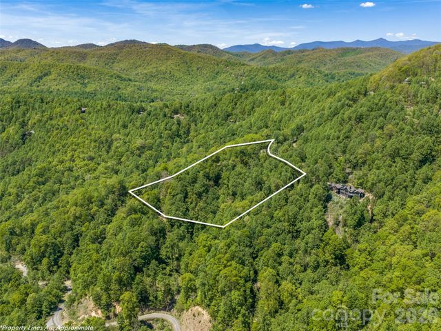 488 Warbler Lane, Black Mountain, NC 28711