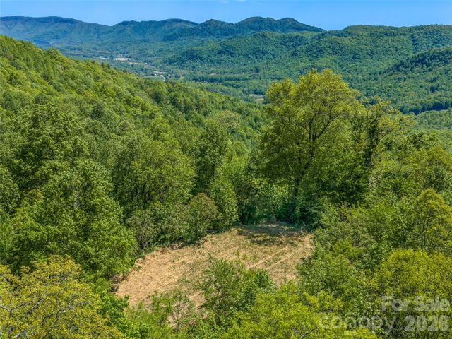 488 Warbler Lane, Black Mountain, NC 28711