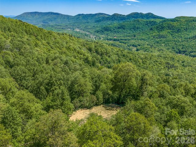 488 Warbler Lane, Black Mountain, NC 28711