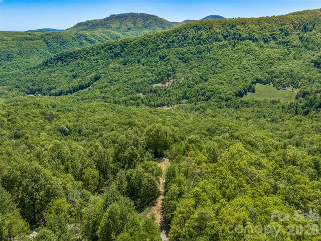 488 Warbler Lane, Black Mountain, NC 28711