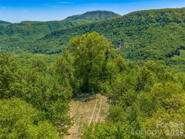 488 Warbler Lane, Black Mountain, NC 28711