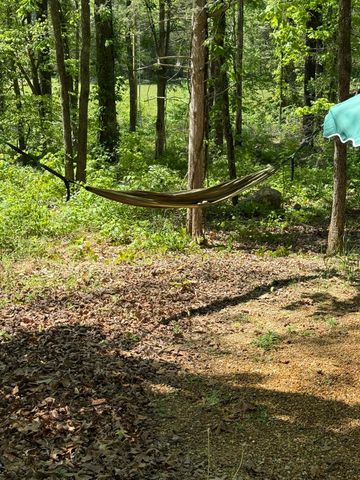1915 Lamontville Road, Decatur, TN 37322