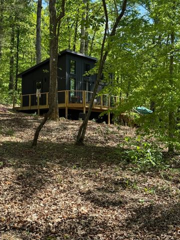 1915 Lamontville Road, Decatur, TN 37322