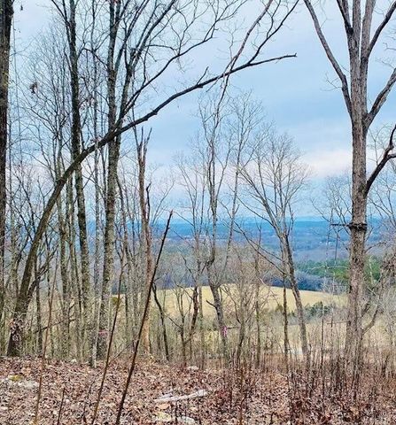 1915 Lamontville Road, Decatur, TN 37322