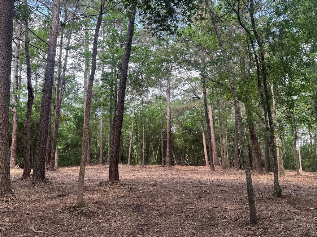 29 & 30-21-9 Windmill Road, Huntsville, TX 77340
