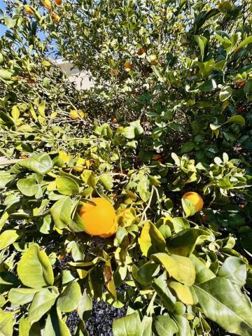 471 Whitney, Hemet, CA 92543