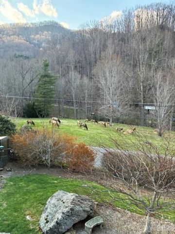 361 Black Camp Gap Road, Maggie Valley, NC 28751