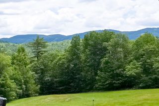 21 Martin Drive, Danbury, NH 03230