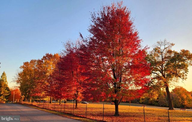 117 WAYNE AVE, Malvern, PA 19355