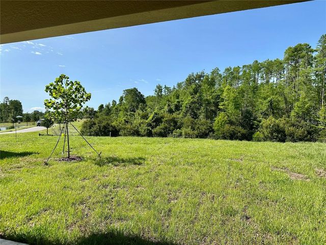 17606 HAPPYTRAILS STREET, Land O Lakes, FL 34638