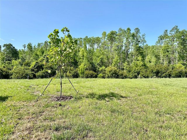 17606 HAPPYTRAILS STREET, Land O Lakes, FL 34638