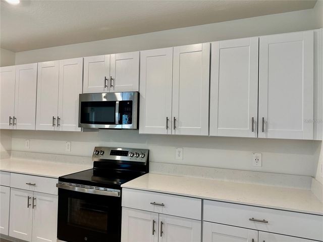 17606 HAPPYTRAILS STREET, Land O Lakes, FL 34638