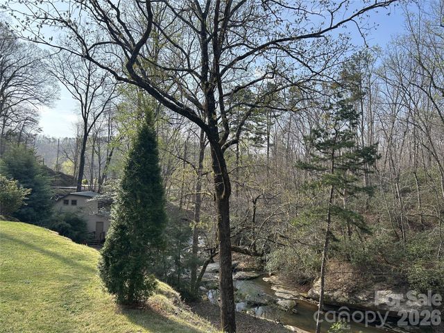 3695 NC 9 Highway N, Mill Spring, NC 28756